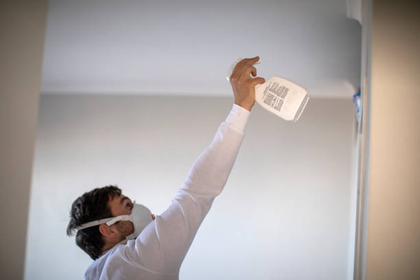 Best Mold Removal and Inspection  in Florin, CA
