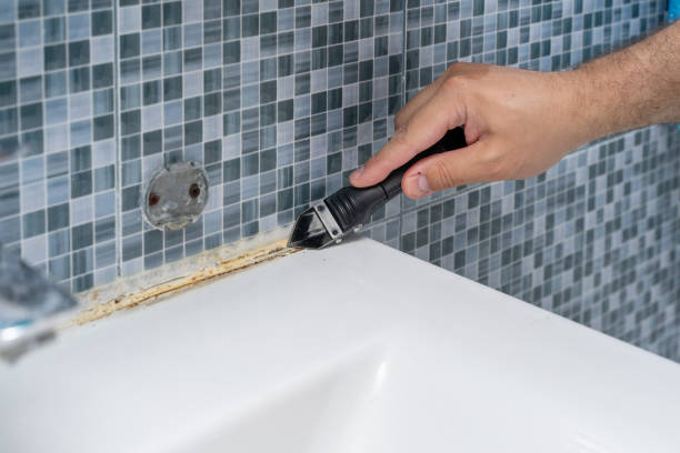 Best Black Mold Removal  in Florin, CA